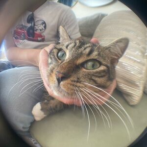 Meet your Posher, Ryann